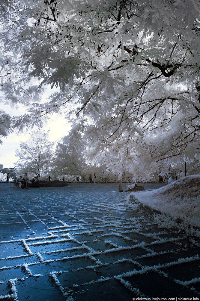 Київ інфрачервоний