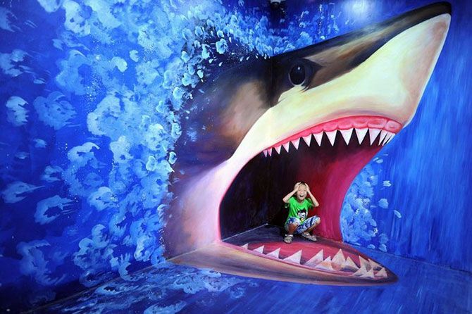 Носороги и акулы на выставке 3D-картин в Китае. Фото 