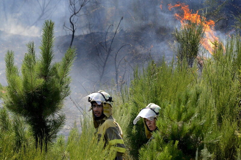 Лесные пожары бушуют на северо-востоке Испании: есть погибшие