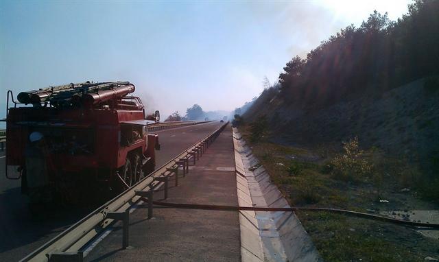В Севастополе сгорело 9 га леса