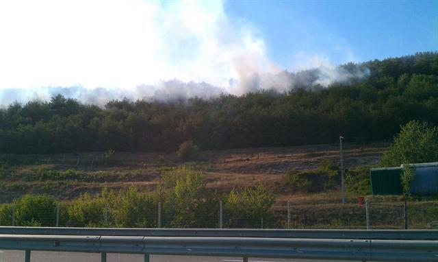 У Севастополі згоріло 9 га лісу