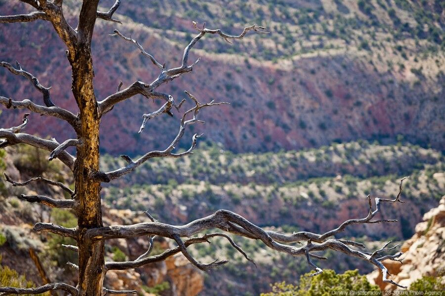Великий Гранд-Каньйон в США