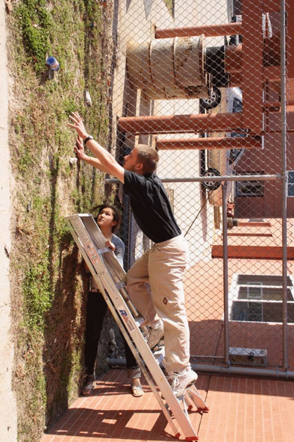 Хороший фотограф всегда выберет правильный ракурс. Фото