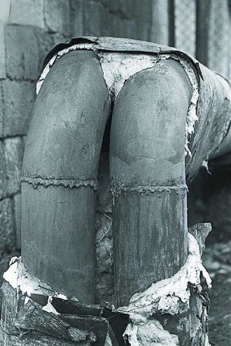 Хороший фотограф всегда выберет правильный ракурс. Фото