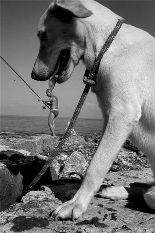 Хороший фотограф всегда выберет правильный ракурс. Фото