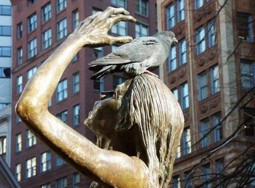 Хороший фотограф всегда выберет правильный ракурс. Фото