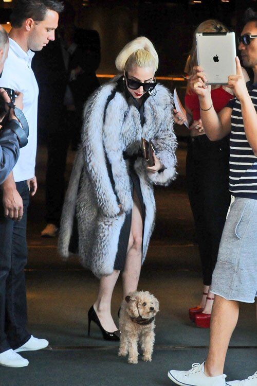 Леди Гага вышла к болгарским поклонникам. Фото