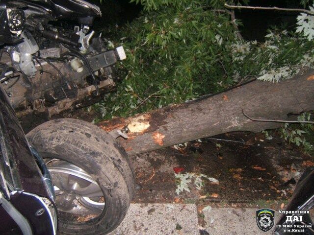 В Киеве иномарка врезалась в дерево, погиб водитель