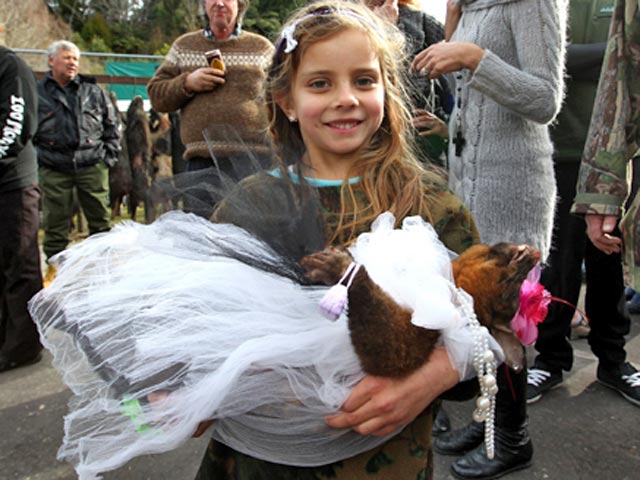 У Новій Зеландії пройшов конкурс краси серед мертвих опосумів