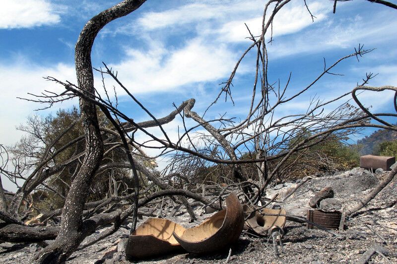 Греція у вогні: лісові пожежі підібралися до курортів