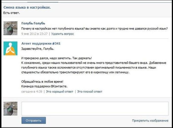 Как устроена работа техподдержки "ВКонтакте". Фото