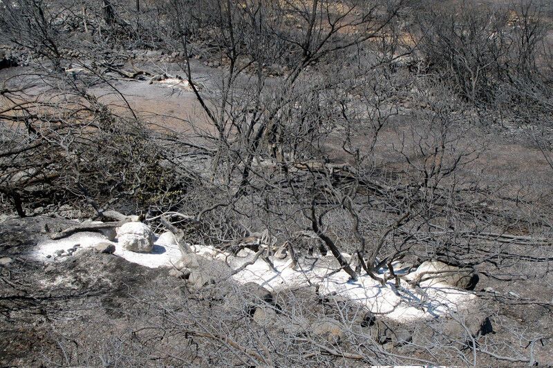 Греція у вогні: лісові пожежі підібралися до курортів