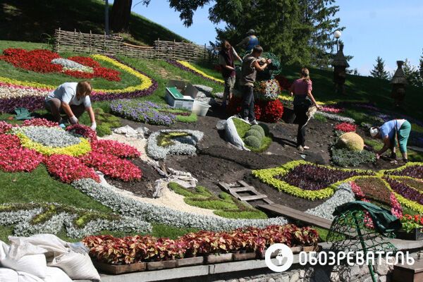 На Певческом поле делают из цветов сказочных героев