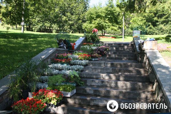 На Певческом поле делают из цветов сказочных героев