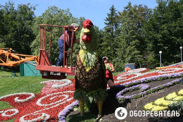 На Певческом поле делают из цветов сказочных героев