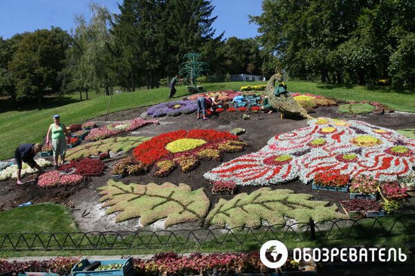 На Певческом поле делают из цветов сказочных героев