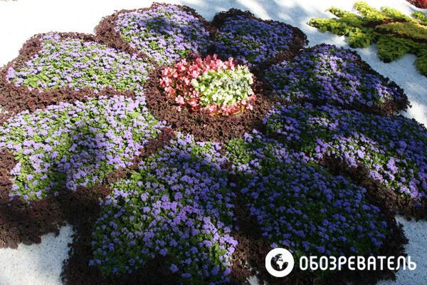 На Певческом поле делают из цветов сказочных героев