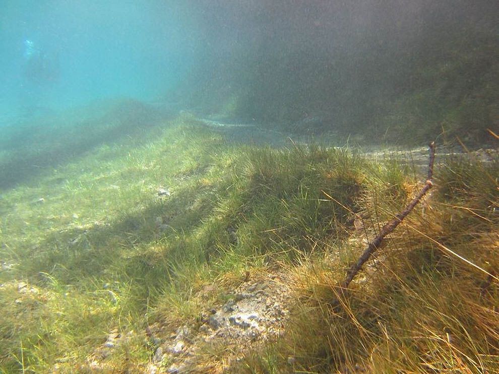 Подводный парк "Зеленое озеро"
