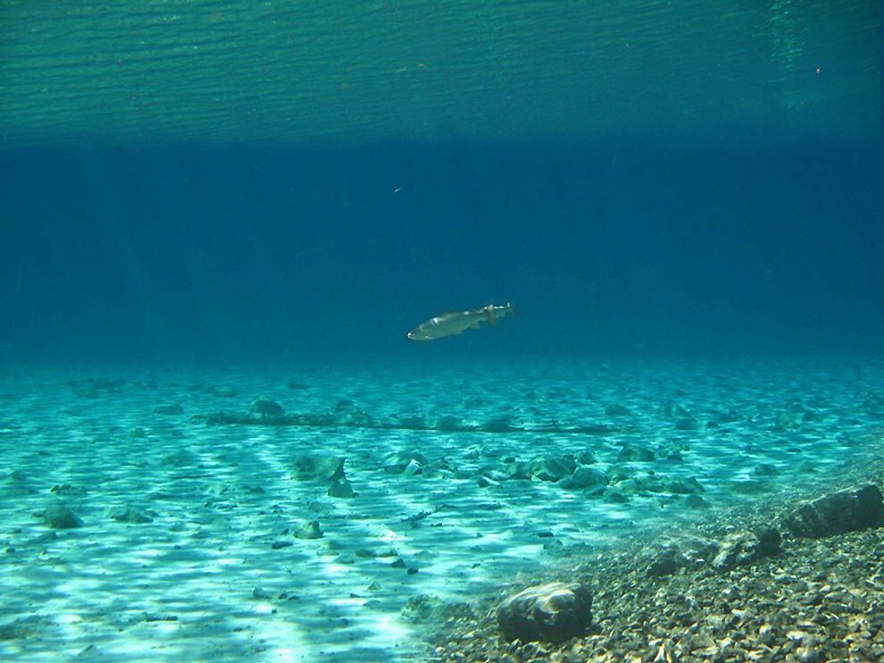 Подводный парк "Зеленое озеро"