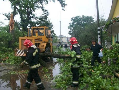 На Ривненщине ураган с корнями вырывал дубы и валил их на дома. Фото
