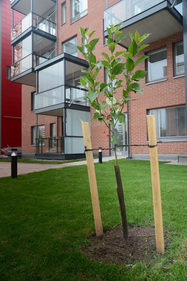 Колесников находится с визитом в Финляндии