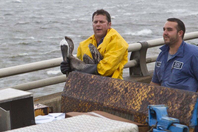 Ураган "Исаак" обесточил полмиллиона домов в США