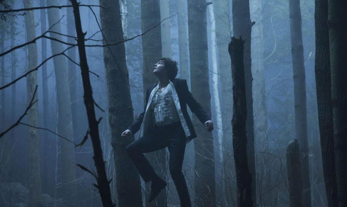 Если бы не розовые пчелы…