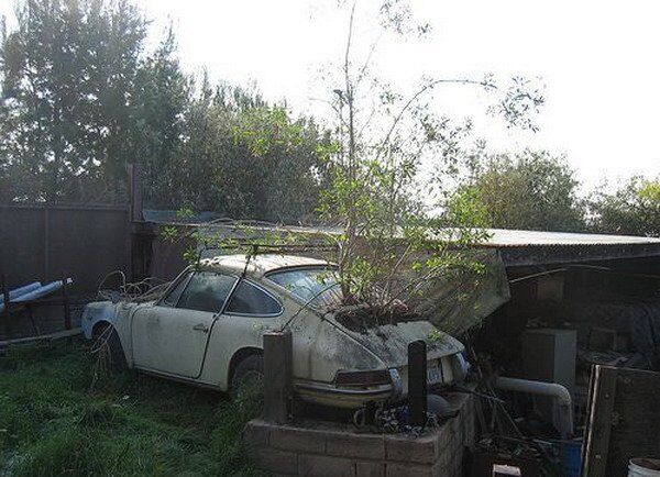 Как умирают красивые суперкары. Фото 