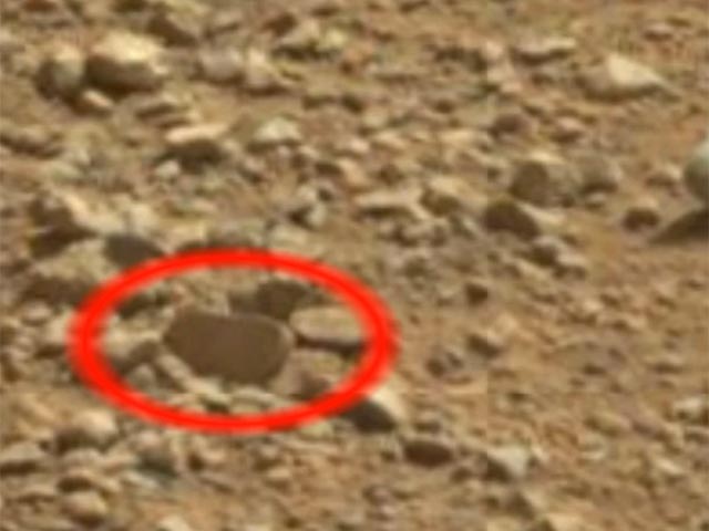 На Марсе нашли ботинок и странное существо