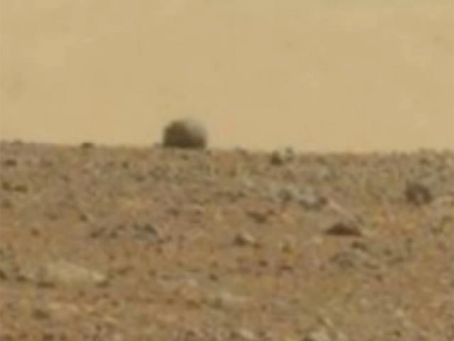 На Марсе нашли ботинок и странное существо