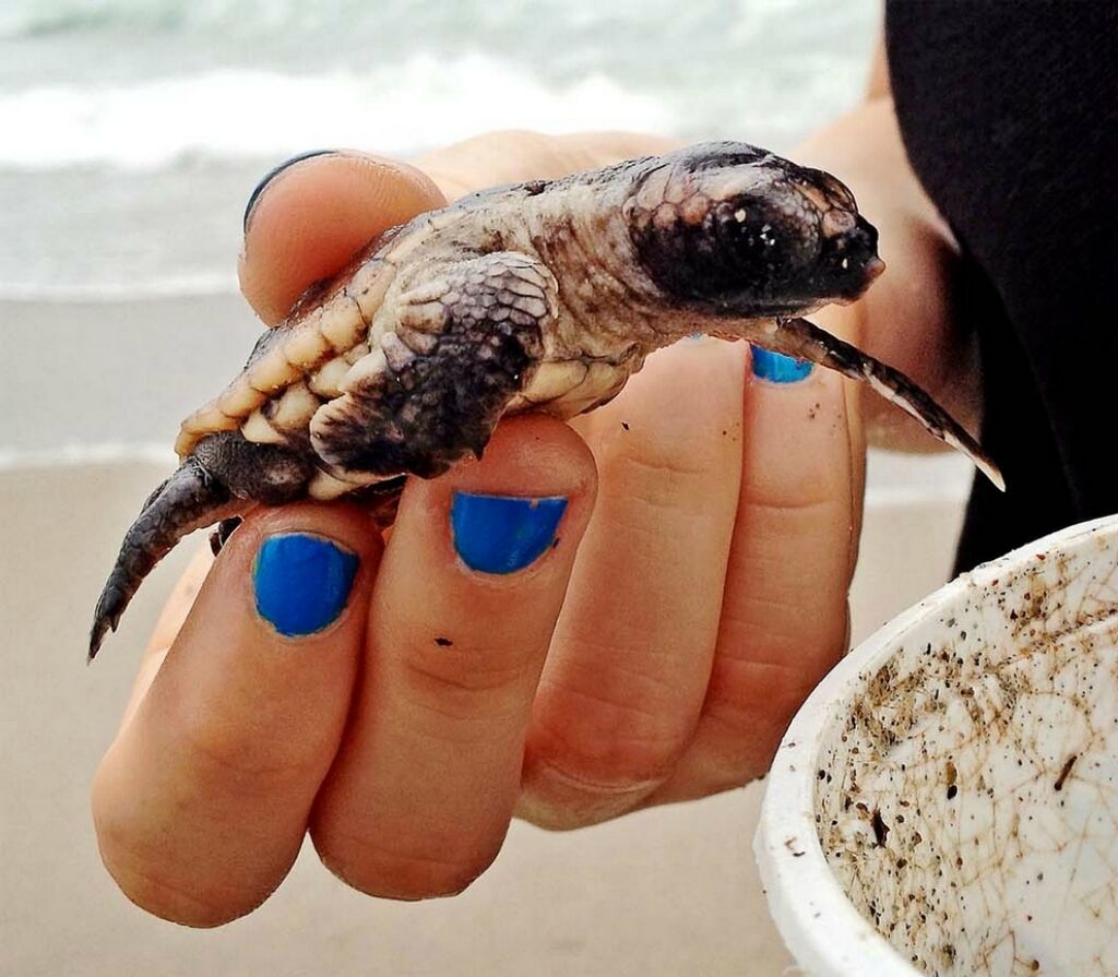 Последствия тропического шторма "Айзек"