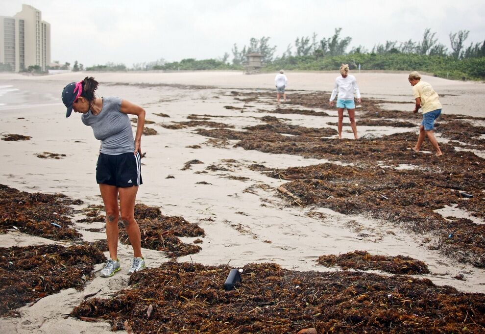 Последствия тропического шторма "Айзек"