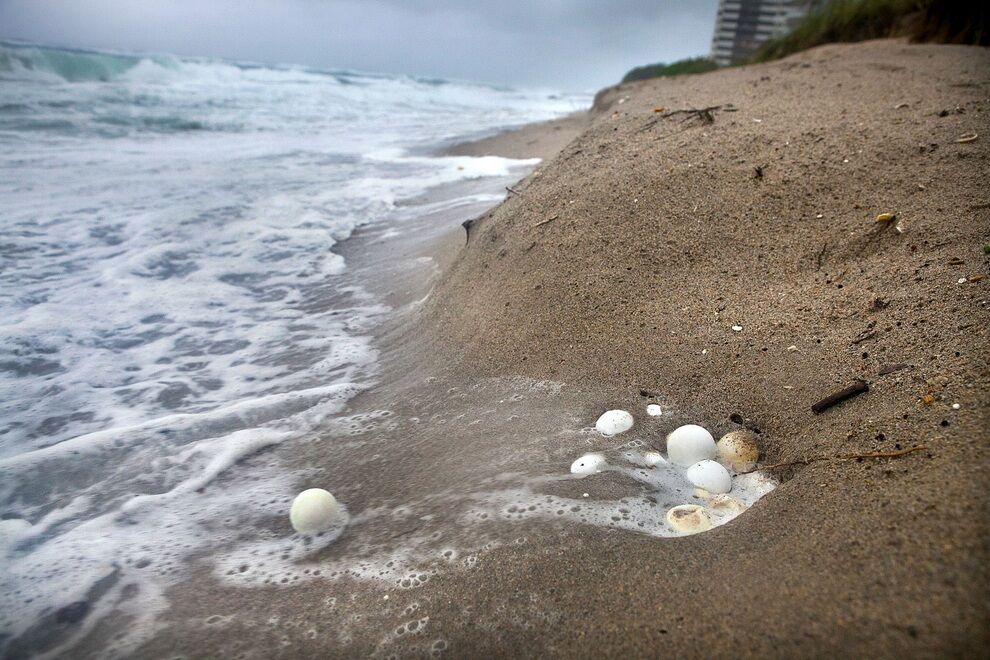 Последствия тропического шторма "Айзек"