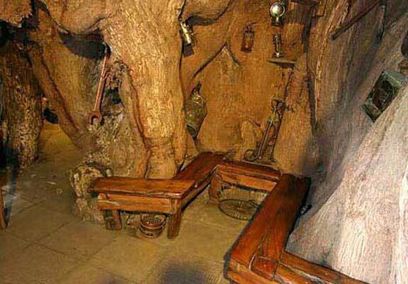 В ЮАР зазывают туристов в бар внутри баобаба