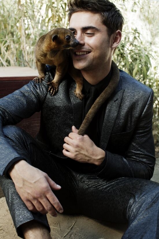 Зак Эфрон, ежик, рысь, лиса, змея и кролики 