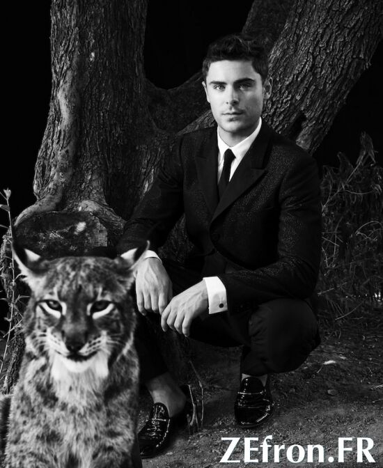 Зак Эфрон, ежик, рысь, лиса, змея и кролики 