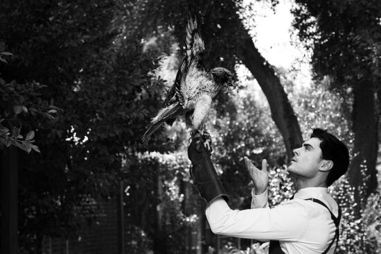 Зак Эфрон, ежик, рысь, лиса, змея и кролики 