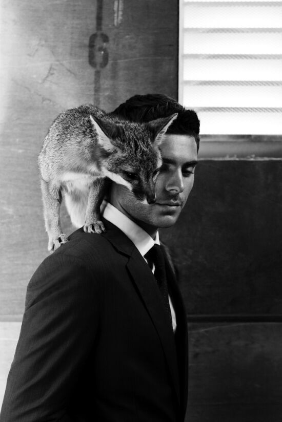 Зак Эфрон, ежик, рысь, лиса, змея и кролики 