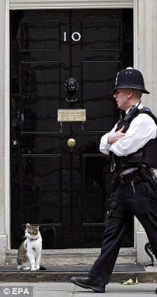 Кота прем'єр-міністра Британії звільнили за неробство
