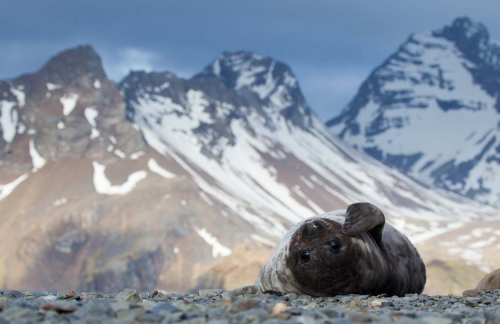 Фотоконкурс від National Geographic