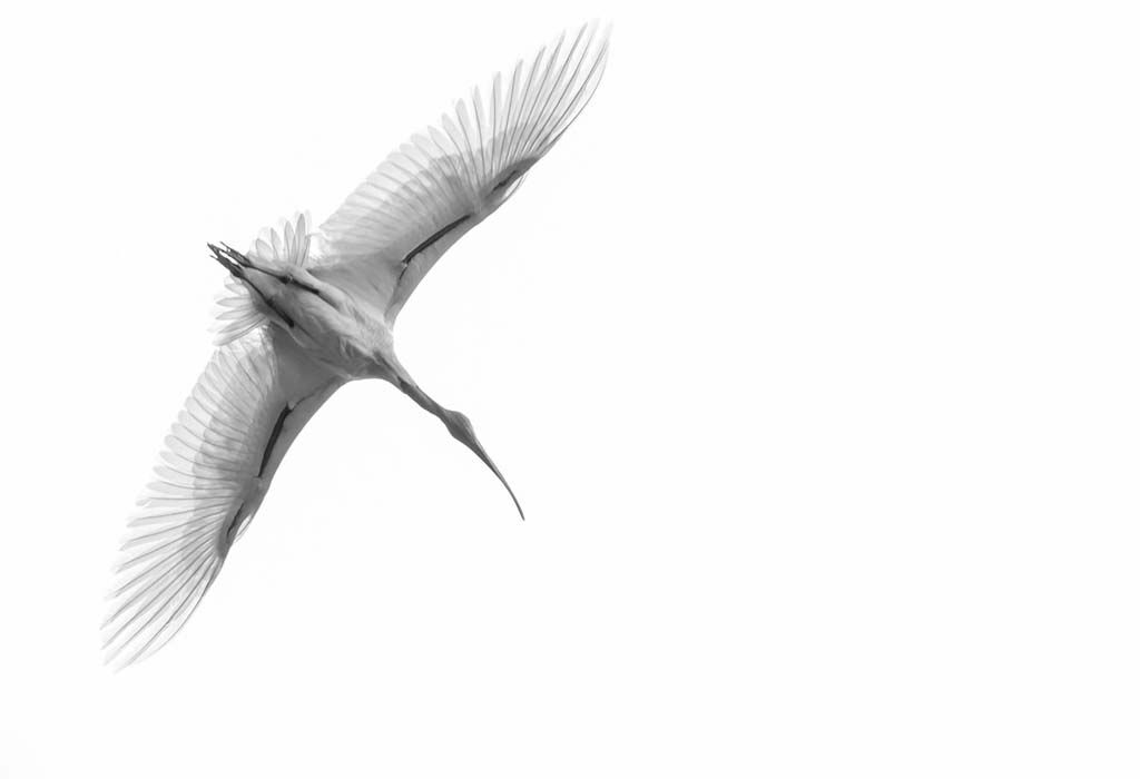 Фотоконкурс від National Geographic