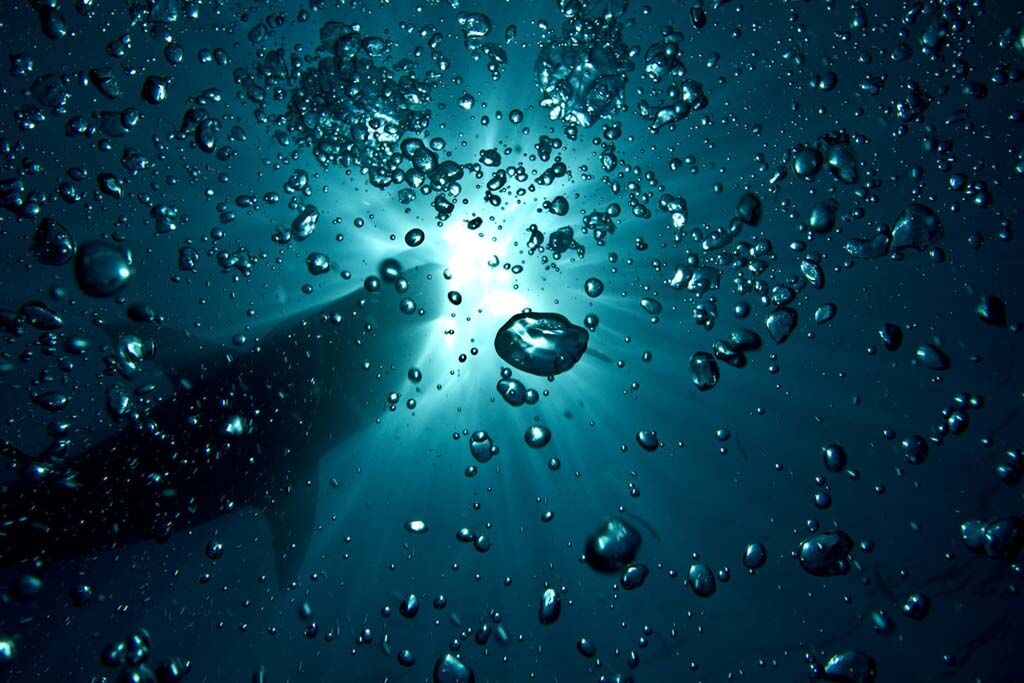 Фотоконкурс від National Geographic