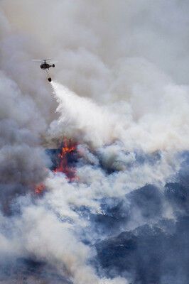 Лесные пожары, бушующие в Португалии, подобрались к Лиссабону