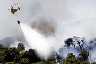 Лесные пожары, бушующие в Португалии, подобрались к Лиссабону