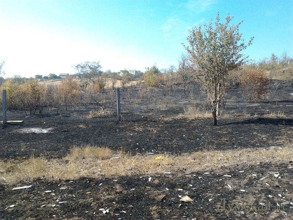 На Одещині мало не згоріло ціле село: у пожежників "не було соляри"