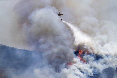 Лесные пожары, бушующие в Португалии, подобрались к Лиссабону