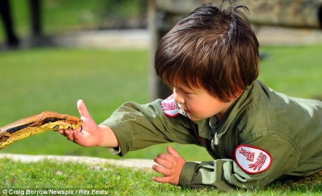 Двухлетний ребенок укрощает змей. Фото