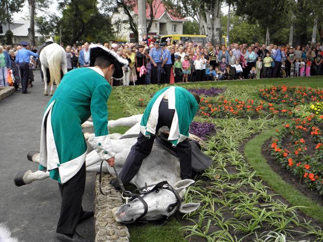 В Одесі на відкритті пам'ятника Суворову кінь впав від голоду