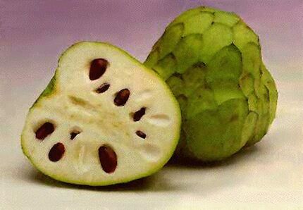 Самые редкие экзотические фрукты. Фото