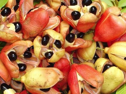 Самые редкие экзотические фрукты. Фото